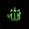 Allah swt